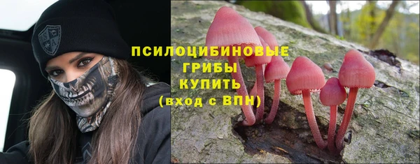 прущая мука Алзамай