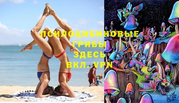 прущие крисы Алексин