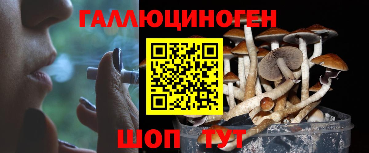 что такое наркотик  Вход с VPN  Туймазы  Псилоцибиновые грибы прущие грибы 