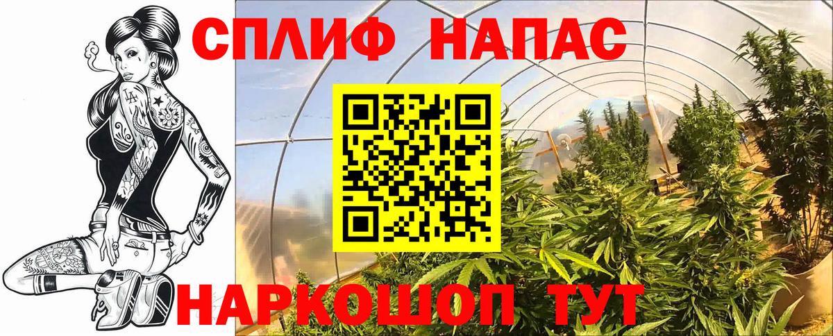 Бошки марихуана SATIVA & INDICA Туймазы